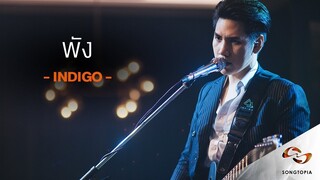 พัง - Indigo | Songtopia Livehouse