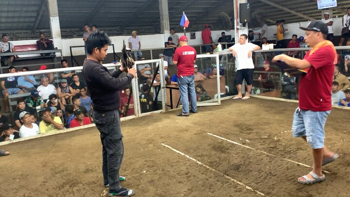 Entry name "Parekoy" (F&C/BBC GF)