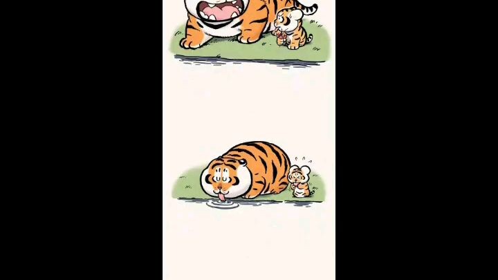 🐯🐱🐯🐱🐯🐱