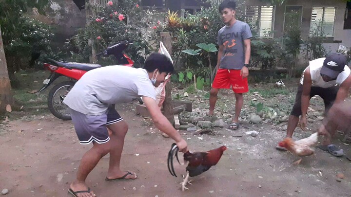 #spar muna 2times winner hennei