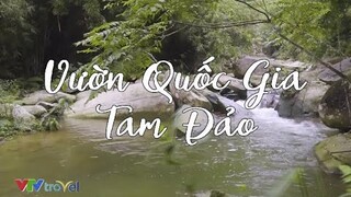 Vườn Quốc Gia Tam Đảo - Báu Vật Trên Núi | VTV Travel - Du Lịch Cùng VTV