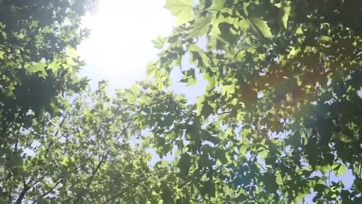 can't hide it secretly HL (ep9)