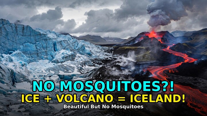 Country With NO Mosquitoes?! Iceland Mystery - Land of ICE & FIRE! | Iceland Documentary