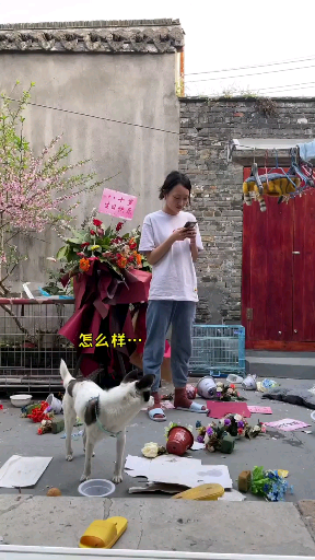 Semoga di episode berikutnya Dog Jump masih bisa bertemu dengan kalian… % Tuan Bayle yang bijak