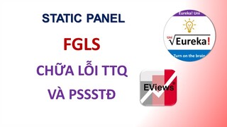 Static Panel 3 - EViews - FGLS - Chữa lỗi tương quan và phương sai thay đổi