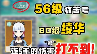 الرقم 56، قارب الألم "لا يستطيع حتى إلحاق 5 آلاف نقطة ضرر بـ لينغ هوا المستوى 80" كيف ربيته؟ إذا وصل