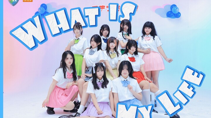 【Versi terjemahan pertama oleh komunitas di seluruh internet】『Apa itu KEHIDUPANKU?』| Unit 'Hidup Itu