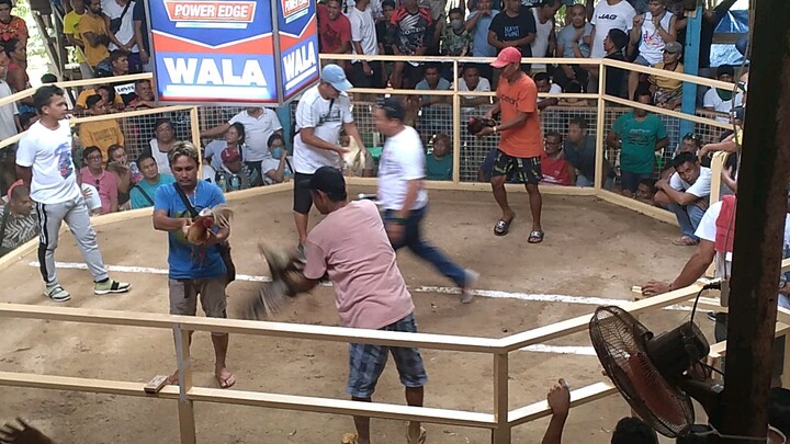 talo pero ang sarap ng laban