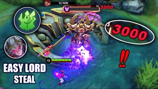 USEFUL INFO FOR HIGHER CHANCE OF LORD STEAL