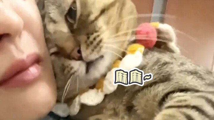 ลูกรัก, แม่อยู่นี่จ้ะ!