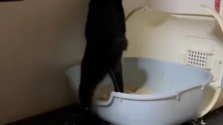 การแอบดูร่างกายของผู้ชาย…ไม่อายบ้างเหรอ