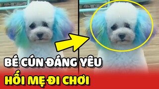 Bé Poodle HỐI MẸ đi chơi SIÊU ĐÁNG YÊU vì đã ĐỢI QUÁ LÂU 😍 | Yêu Lu