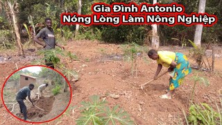 Tập 300||Nhà Antonio làm vườn trồng rau cải||2Q vlogs cuộc sống châu phi