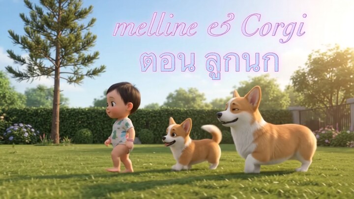 melline & corgis ตอนลูกนก