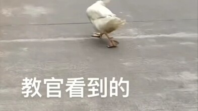 During military training, I thought I was already marching well, but in reality… it was actually…