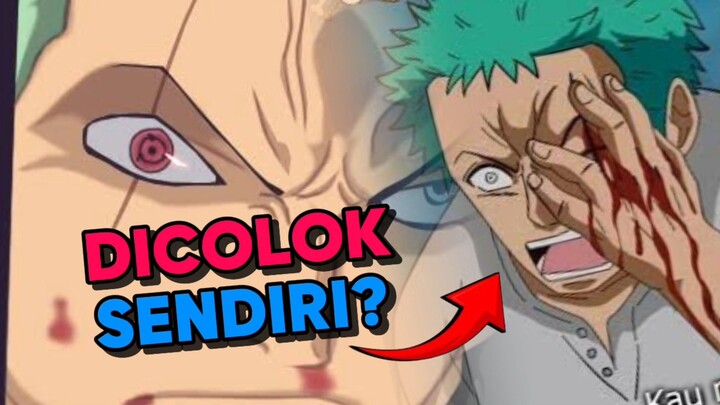 Alasan Paling LOGIS Kenapa Setelah Timeskip Zoro Menutup Mata Kirinya