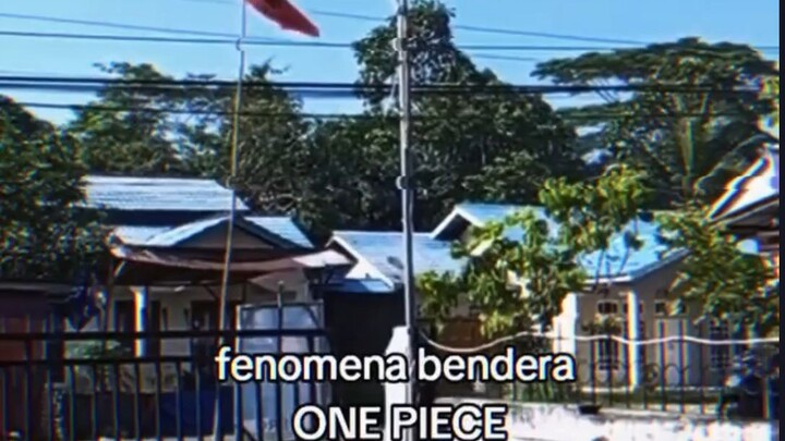 one pice didunia nyata😮😮