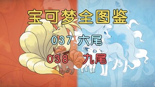 【宝可梦全图鉴】037-038：等待主人200年的痴情宝可梦--六尾家族