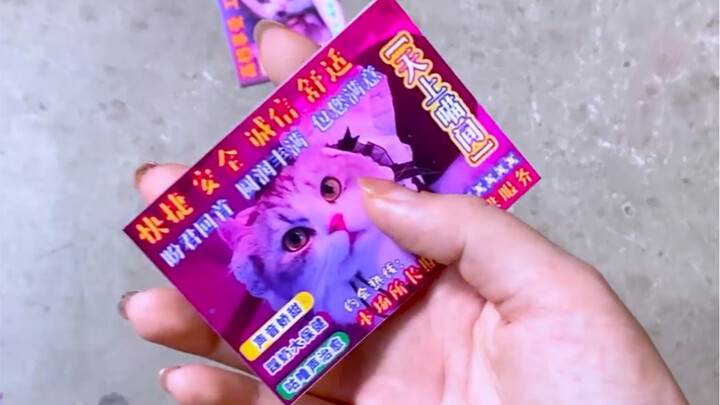 地下吸猫场所缘何屡禁不止？