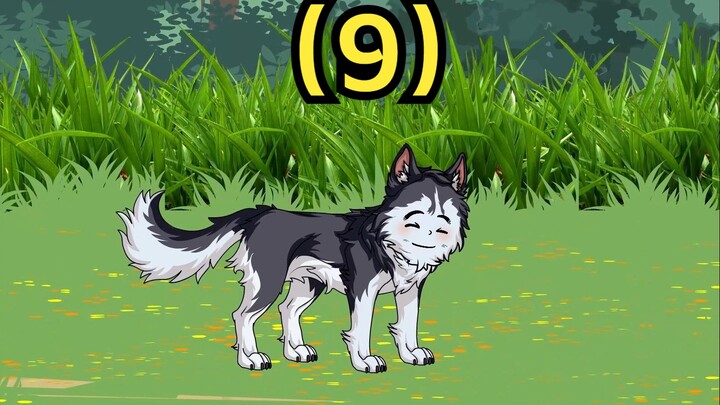 The wolf cub is reborn! The white fox appears!