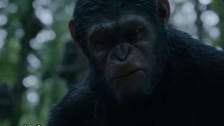 (สปอยหนัง) เมื่อมนุษย์โดนไวรัสฆ่าตายไปกว่าครึ่งโลก และถูกปกครองโดยฝูงลิง（1/2）