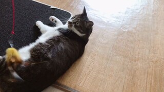 m làm t bực mình rồi đó sen :))))