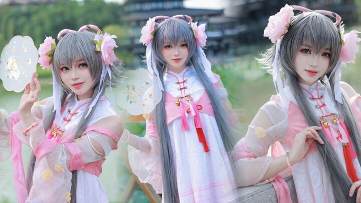 【Chúc mừng sinh nhật Thiên Nhất】Thế giới của Ichika Yi❀"Phiên bản MV nhảy"