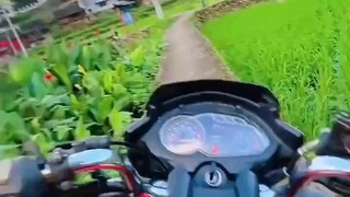 ²⁰²⁵/₀₂.₀₁ 🧨「二月你好 」“二月好运拍了拍你，接下来事事顺利，好运无限💗”