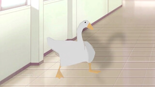 Bebek!