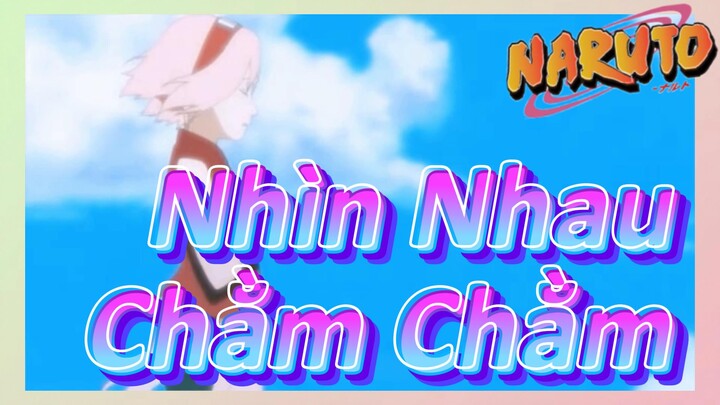 Nhìn Nhau Chằm Chằm