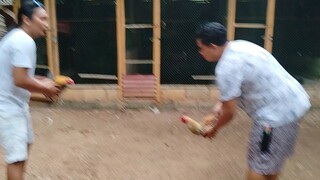 Green leg Dom vs yellow leg