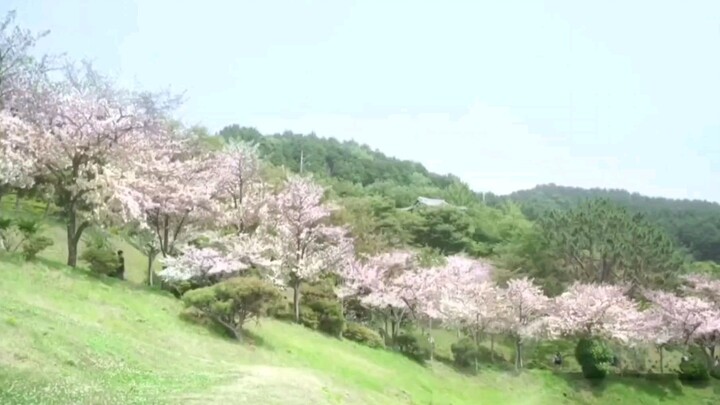If we were a season kmovie snaps