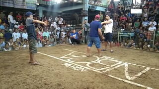 Lemon kelso vs alinbuyugin tinalo ng manok namen sa sipag kahit malaki kalaban💪