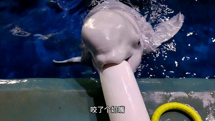 Lemon: Itu langsung menembus “otak”ku begitu saja...