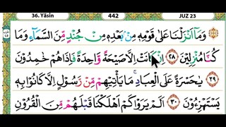 23 - Juz 23 Membaca Alquran Dengan Nada Pelan, Merdu, Dan Mudah Di Ikuti (by Tahsinul Quran & Doa)