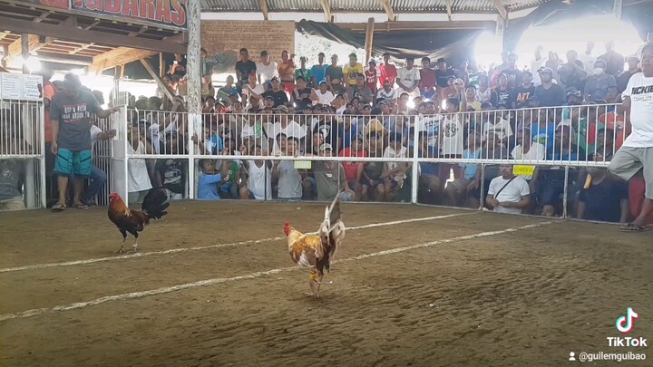 fastest bigas lng one sack,, chooks togo line,,