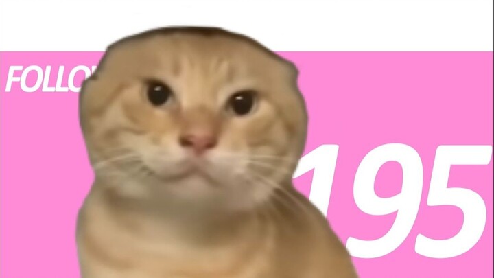 [Cat Girl Old Man] เส้นทางเซเซ่ของชายชราหัวกลม