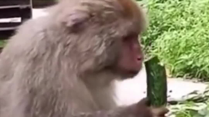 Why does it smell so weird?