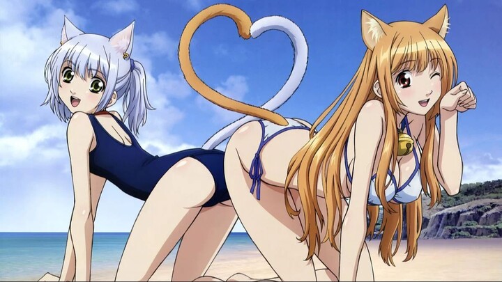 No Sensor!! Ini Kucing??