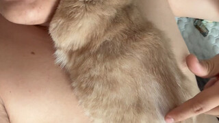 Aku benar-benar sangat membenci anak kucing.