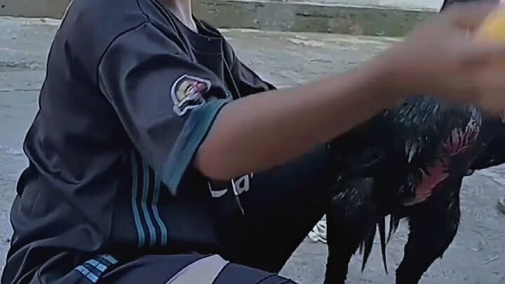 ganti hobi teman"😂 Avatar sibuk mengendalikan per ayaman