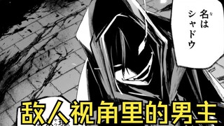 在姐姐眼里呆萌可爱的男主，在敌人眼里居然是这样的【29】