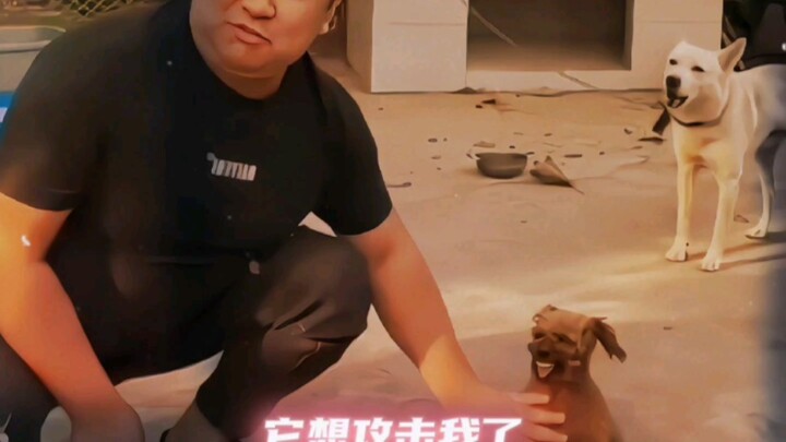 “Tốc độ nhanh là lời nói dối của bạn”