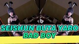 Seishun Buta Yaro|[MMD]Mai in the library, I found HER!~「bad boy」