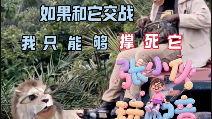 التقاط صور في البرية ومواجهة أسد