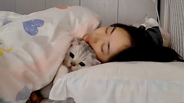 Apakah ada di antara kita yang tidak punya anak kucing yang harus dibujuk untuk tidur?