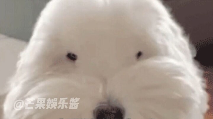 Seventeen's Radical Poker Card Makeover