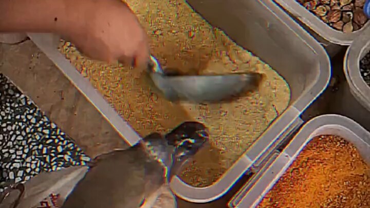 Goose: Let’s head home—time to stew myself!