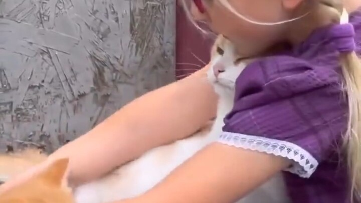 猫妈妈将自己喜爱的小女孩介绍给小猫