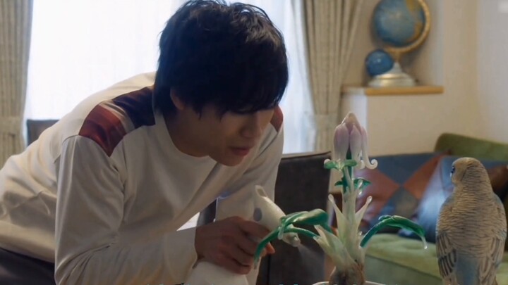 Miscellaneous talk about "Ultraman Triga"-Why I hate Koichi Sakamoto